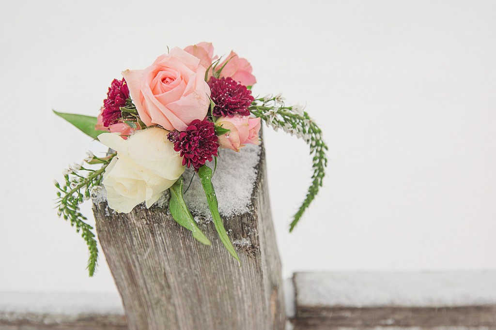 Winter flowers | The Day's Design | Heather Cisler Photography
