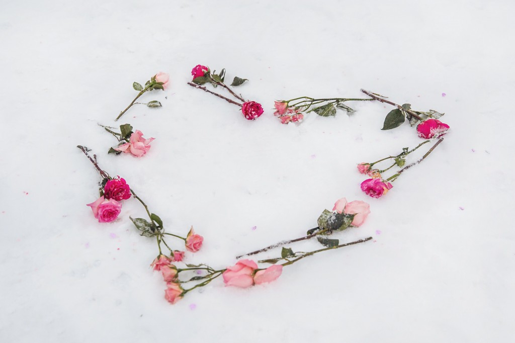 Valentine's Heart | The Day's Design | Heather Cisler Photography