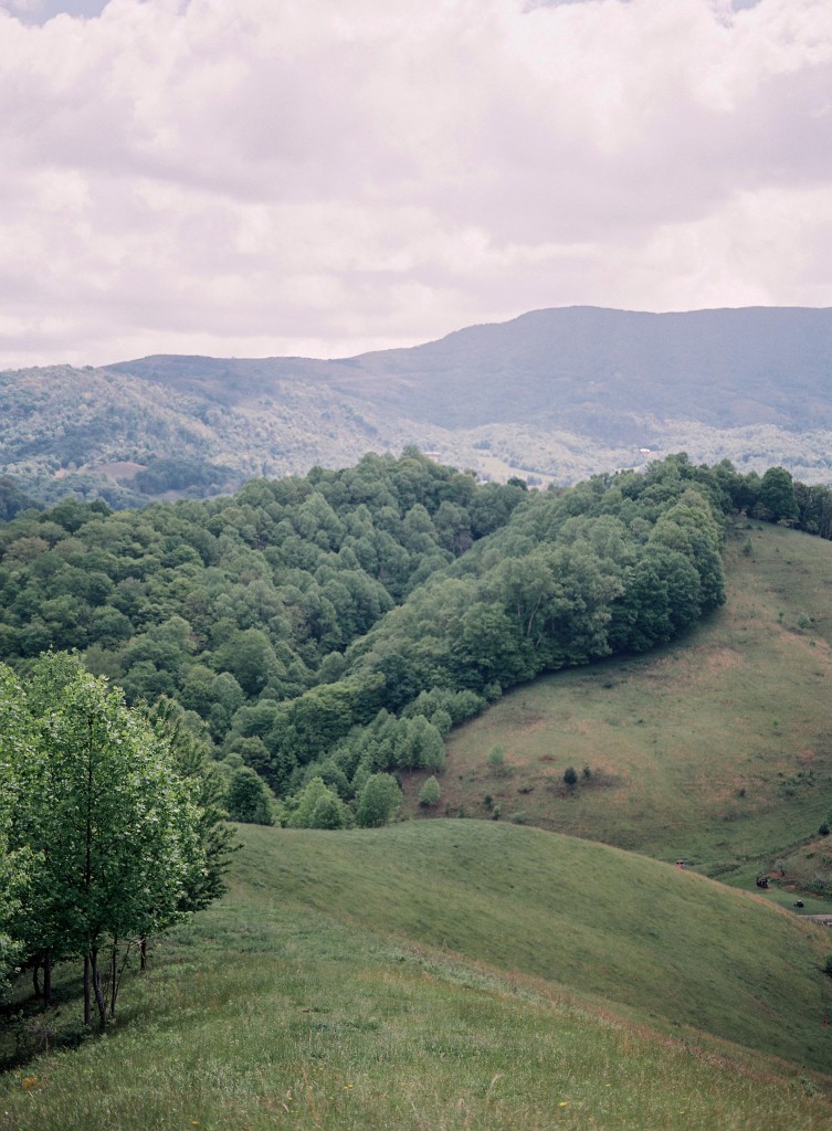 North Carolina Mountains | Team Flower Workshop | Heather Payne Photography