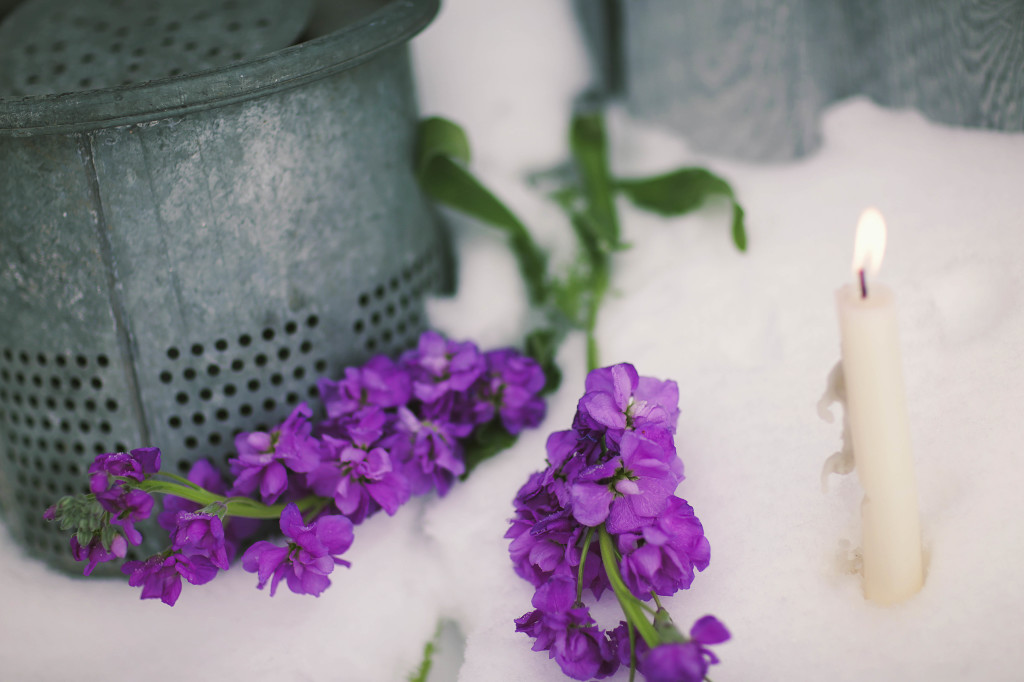 Winter Wedding Decor | The Day's Design | Eliza Jean Photography
