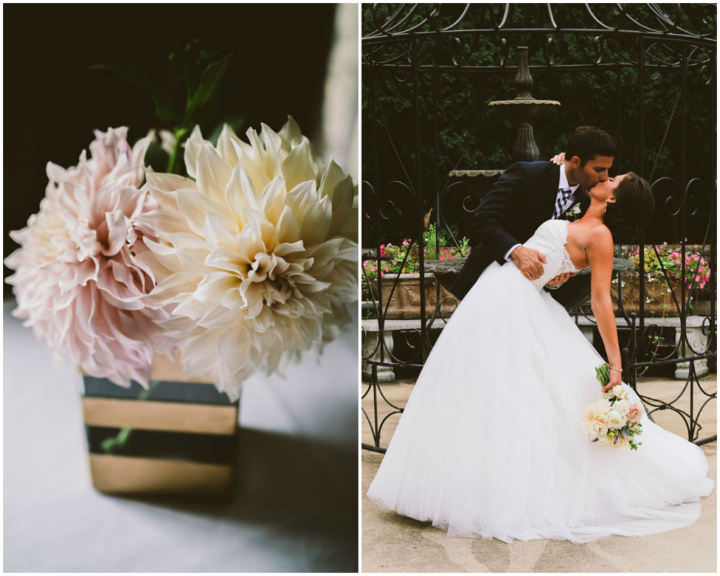 Dahlias | The Day's Design | Chelsea Seekell Photography