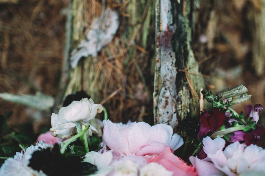 Woodland Flowers | The Day's Design | Katy O'Dell Photography