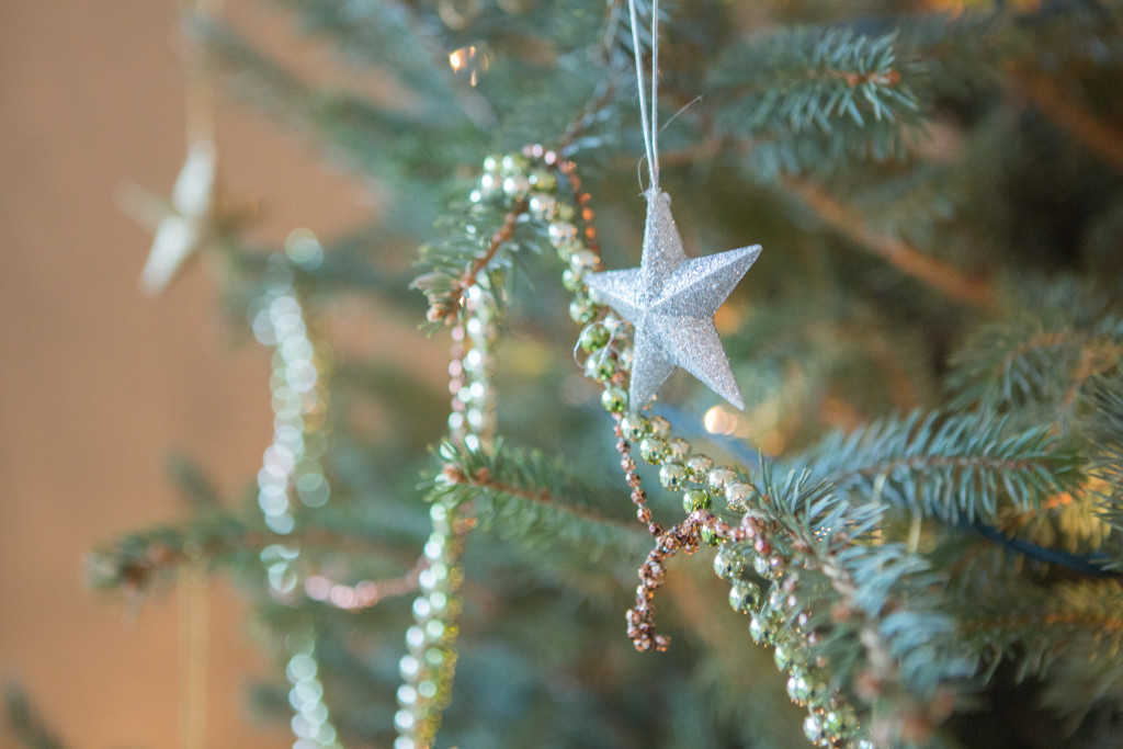Christmas Tree | The Day's Design | Hetler Photography
