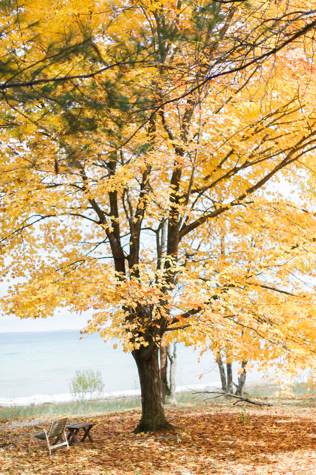 Autumn Leaves | The Day's Design | Kelly Sweet Photography