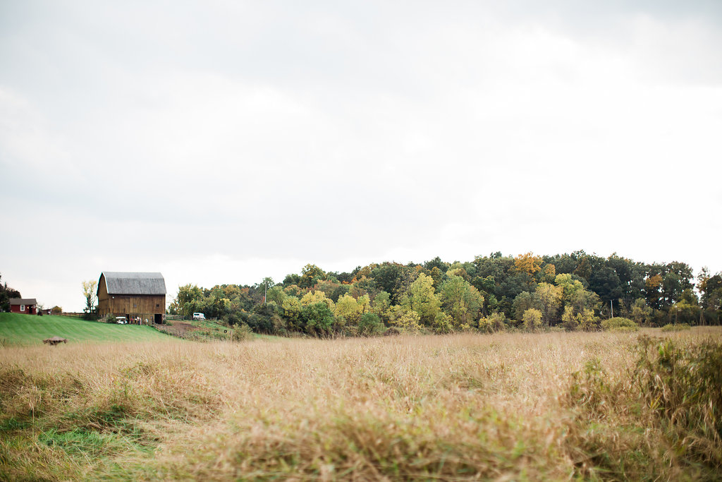 Mistry Farms Ann Arbor | The Day's Design | Ashley Slater Photography