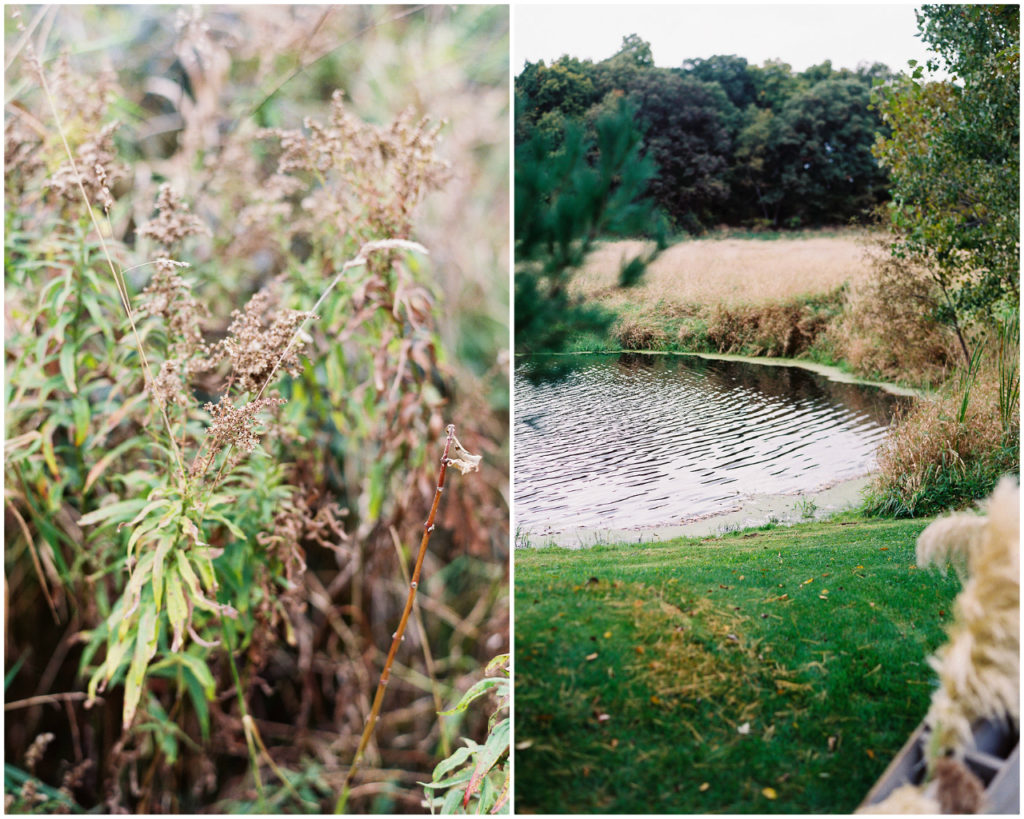 Mistry Farms Ann Arbor | The Day's Design | Ashley Slater Photography