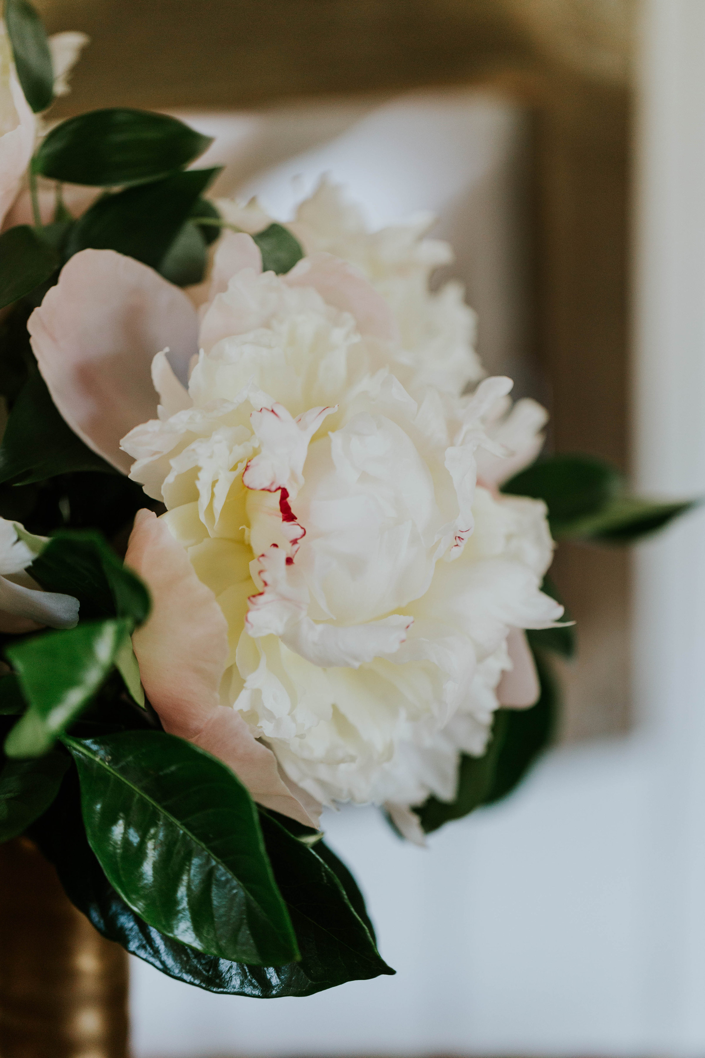 Blush Peony | The Day's Design | Katie Grace Photography