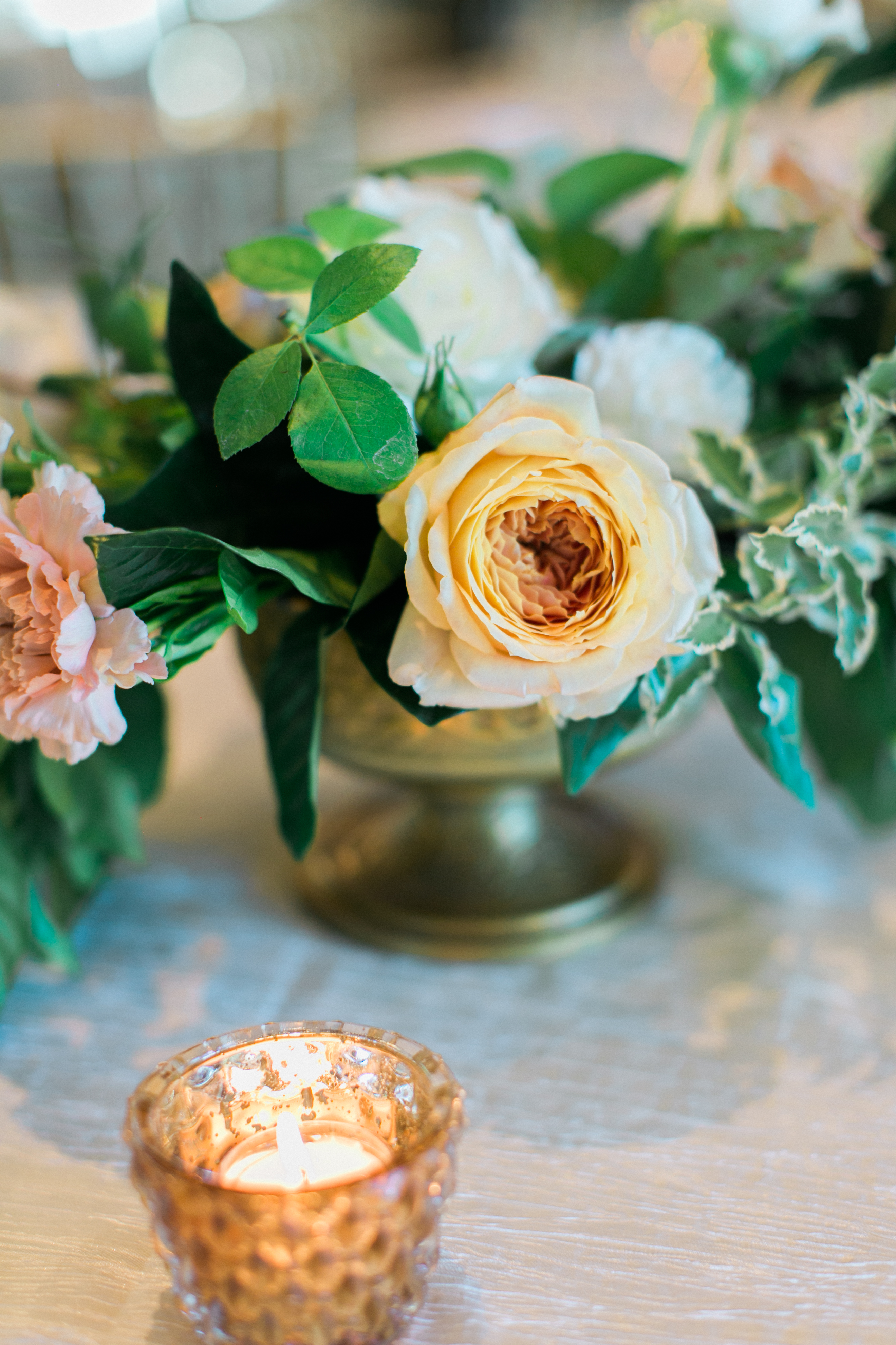 Caramel Antike Garden Rose | The Day's Design | The Weber Photographers