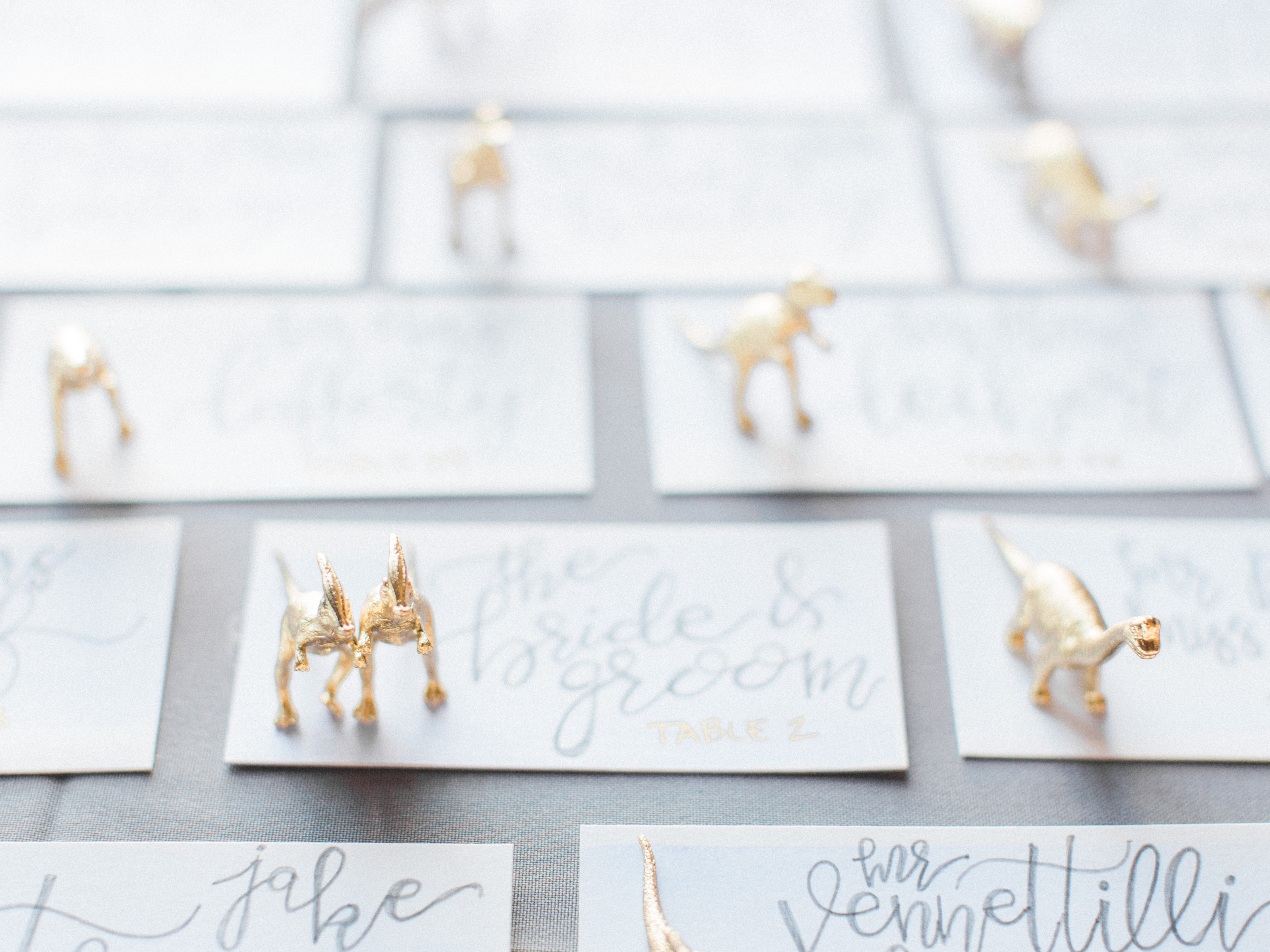 Dinosaur Place Cards | The Day's Design | Samantha James Photography