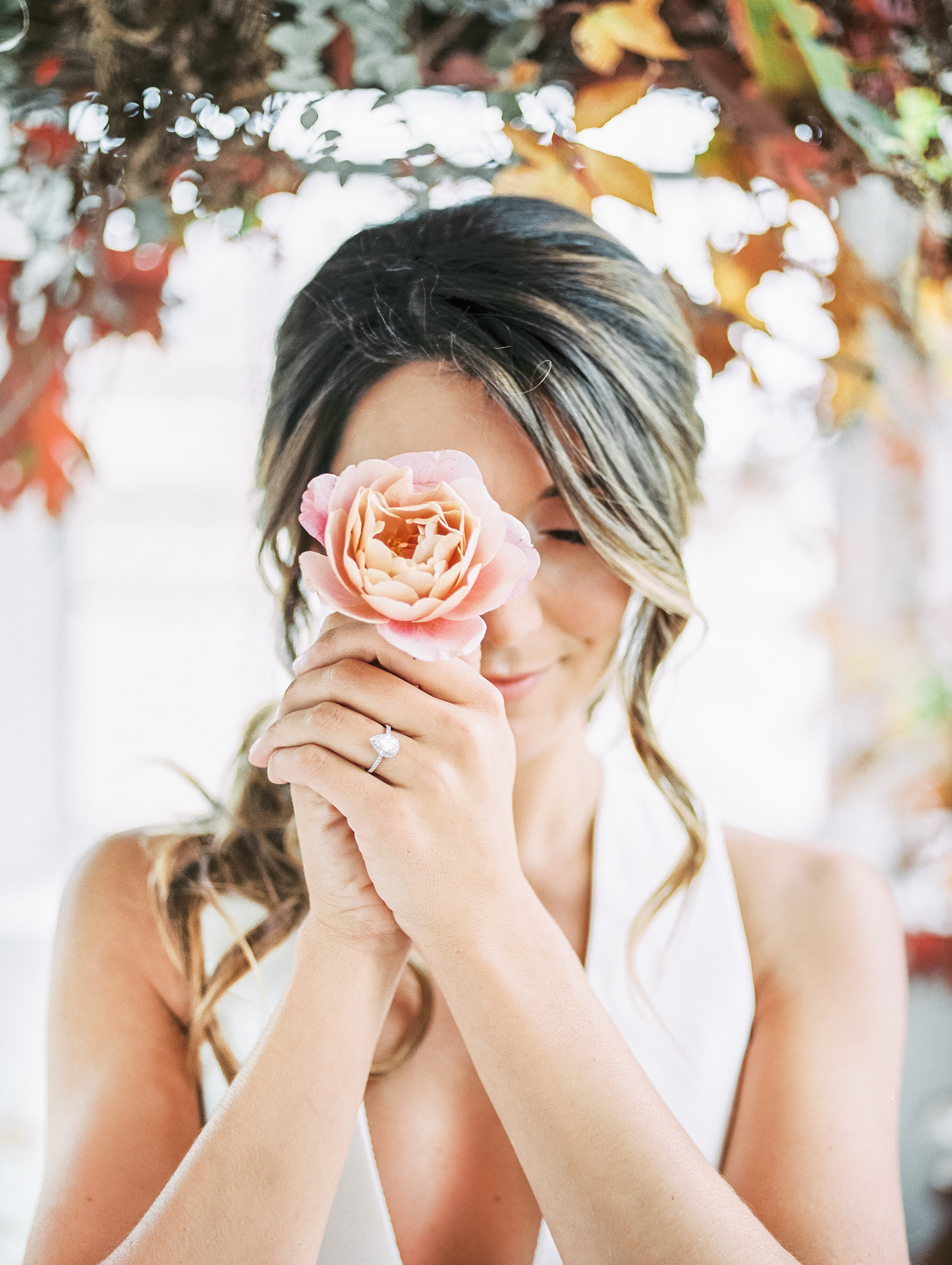 Distant Drum Roses | The Day's Design | Samantha James Phtoography