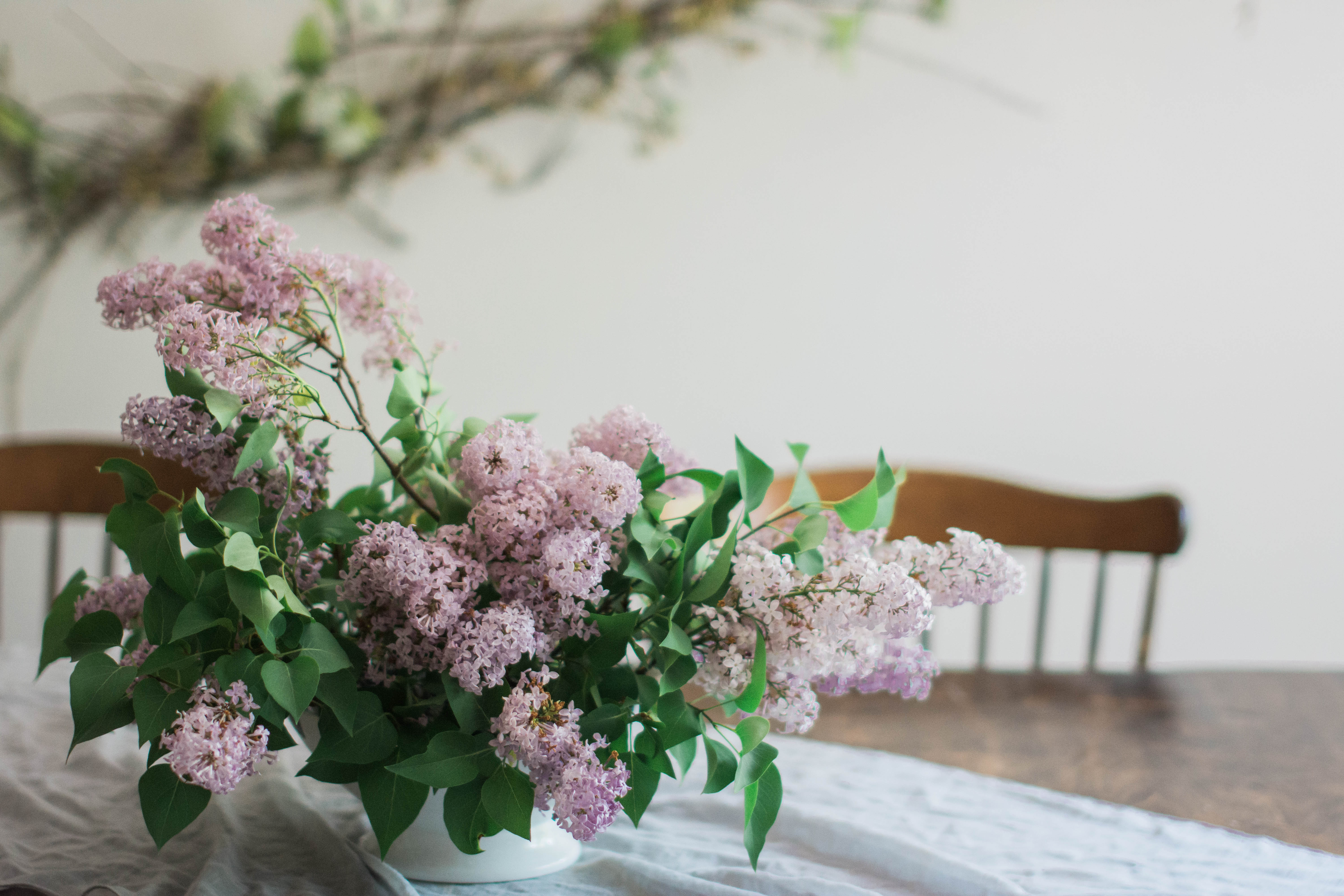 Foraged Lilacs | Townline Journal