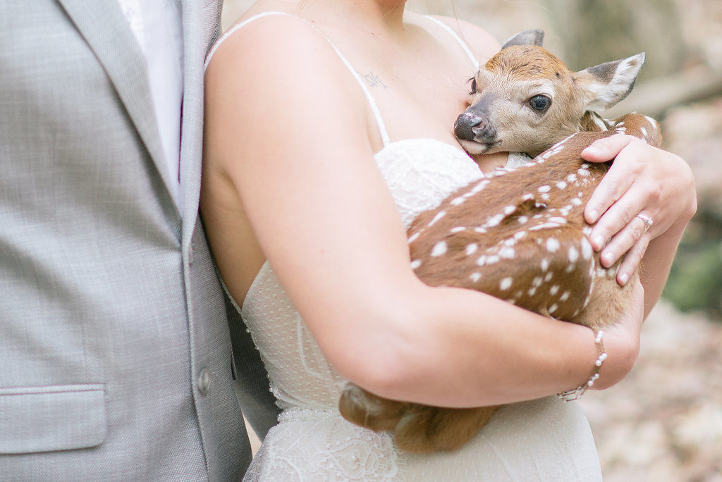 Fawn Weddng Pictures | Emilee Mae Photography | The Day's Design 