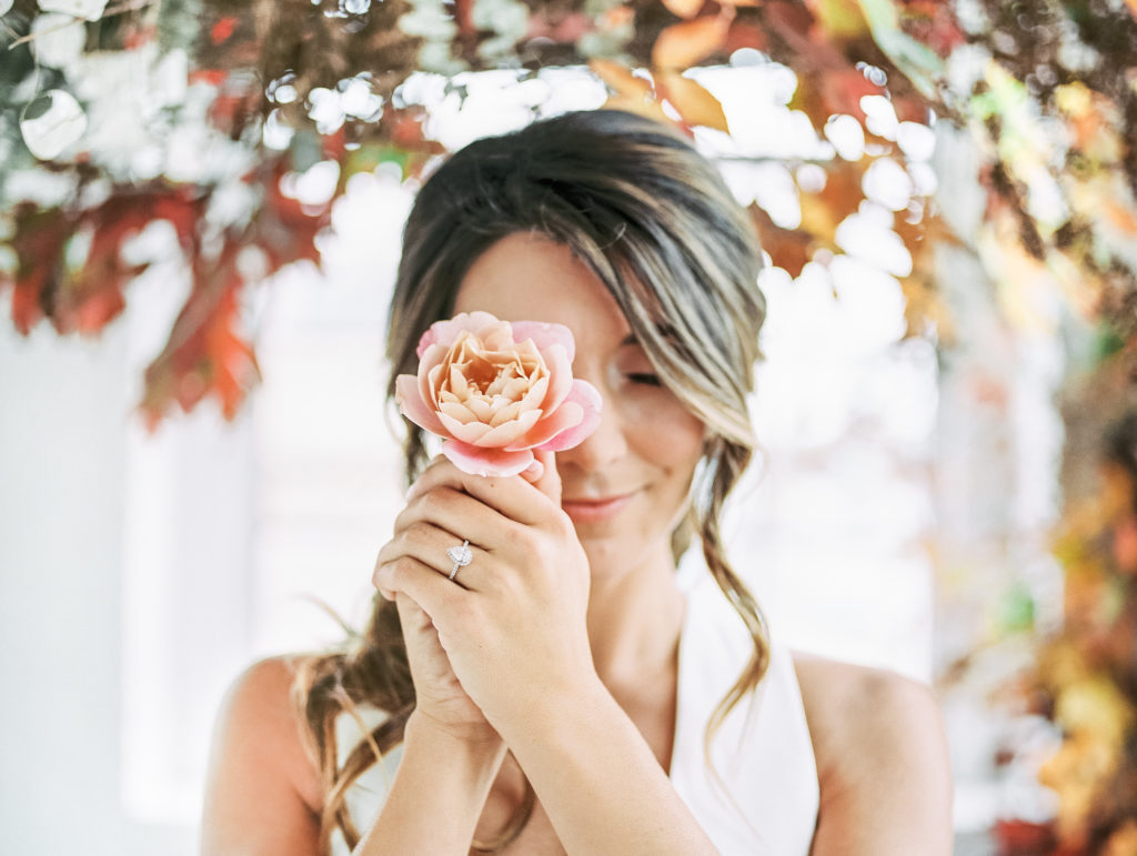 Distant Drum Rose | The Day's Design | Samantha James Photography
