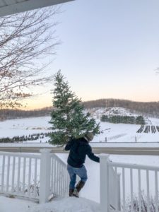 Taking Down the Christmas Tree | TownLine Journal