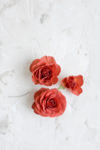 best red roses