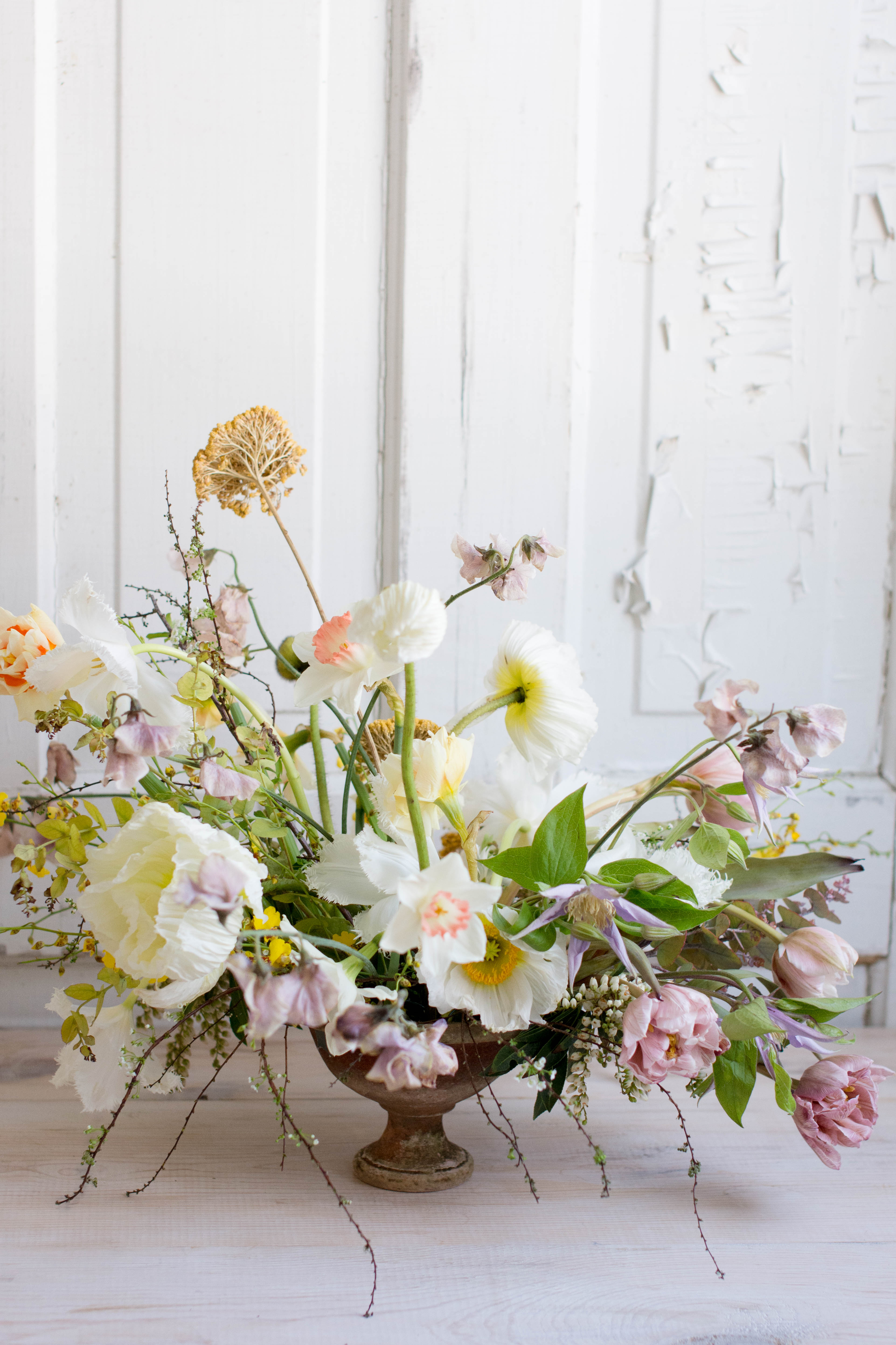 Mauve and yellow spring flowers